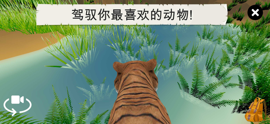 野生动物