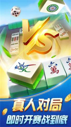 安顺捉鸡麻将
