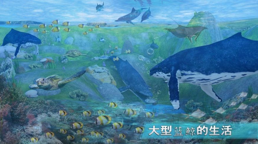全民养鲸鱼红包版