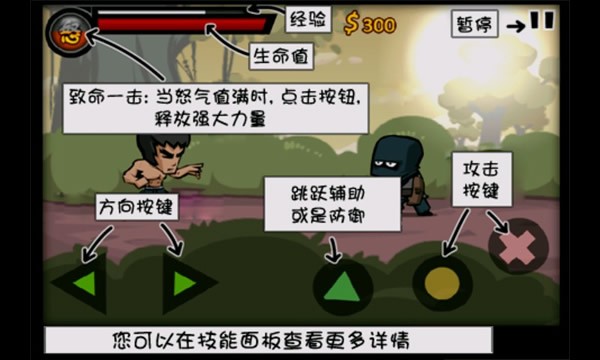 功夫战斗机