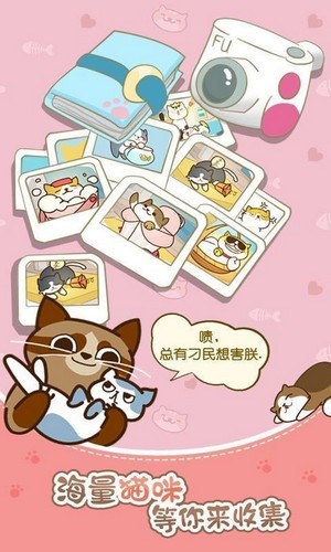 猫咪的冒险