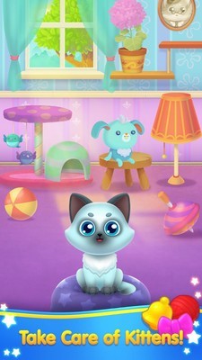 猫咪消方块