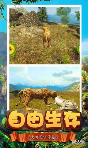 模拟猎豹
