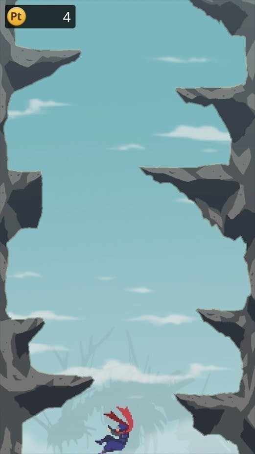 Ninja Arashi