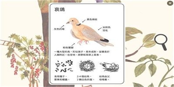小松鼠历险记