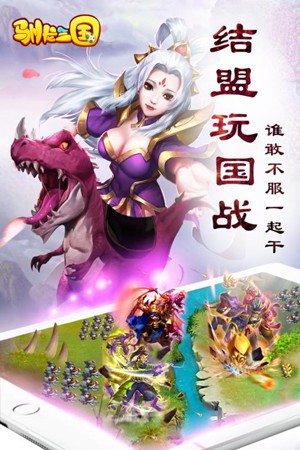 驯龙三国九游版