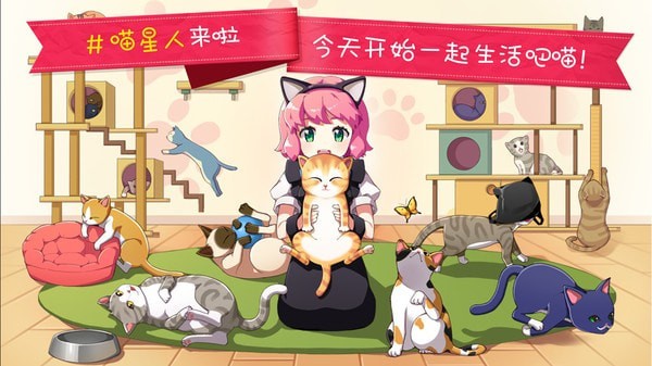 猫猫咖啡