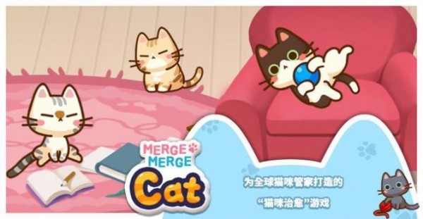 猫咪合十