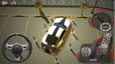 真实泊车3d