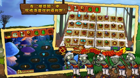 植物大乱斗