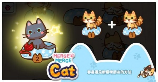 猫咪合十