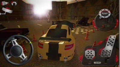 真实泊车3d