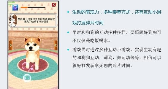 奔跑吧小鹅鹅