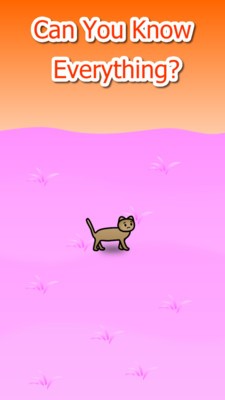 流浪猫模拟生存