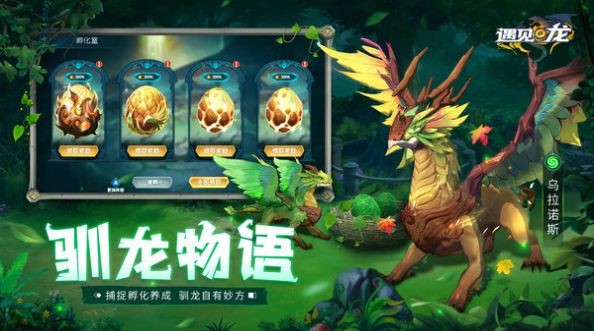 遇见龙龙之战