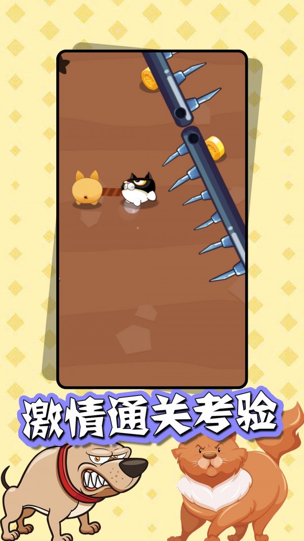 猫狗大乐斗