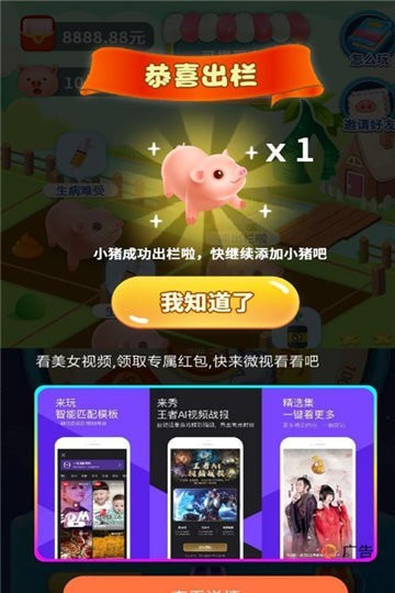 爱上养猪红包版