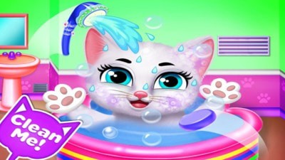 猫咪日记