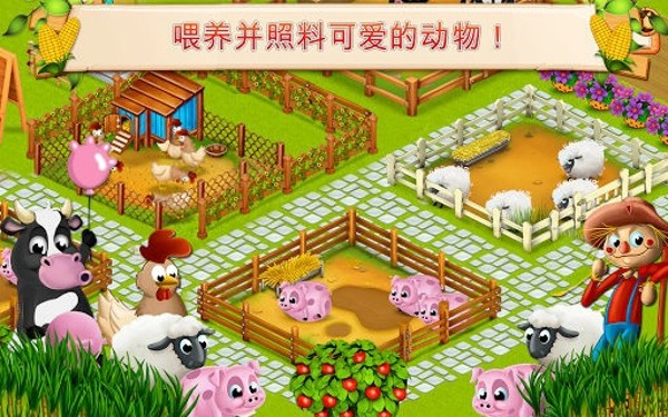 小小农场生活