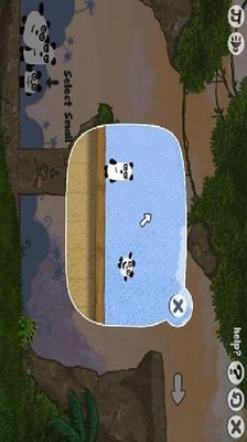 三只熊猫