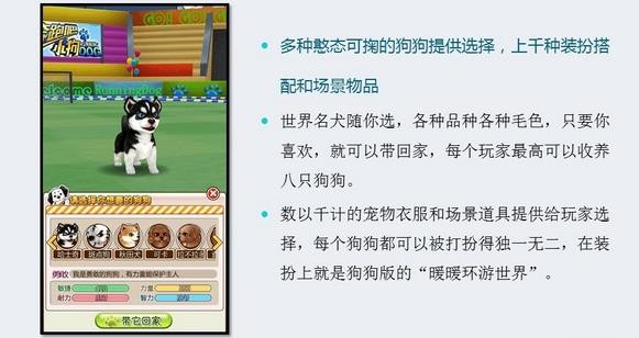 奔跑吧小鹅鹅
