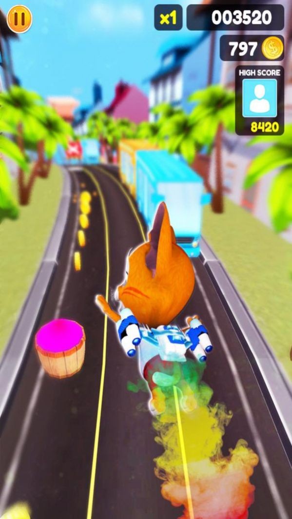 猫咪跑步趣
