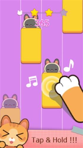 猫咪弹跳吧