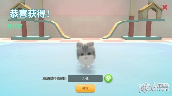 养了个猫