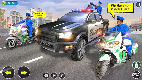 警察特派团团长