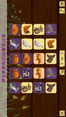 托卡小家爱生活