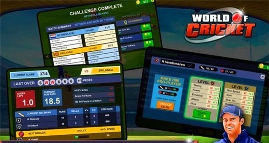 World Flipper