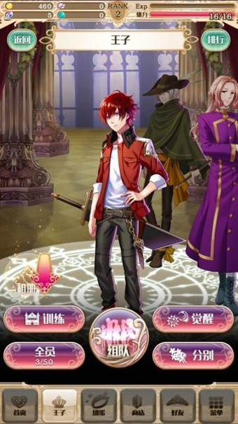 梦王国与沉睡的100王子华为版