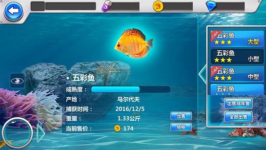 全民钓鱼王