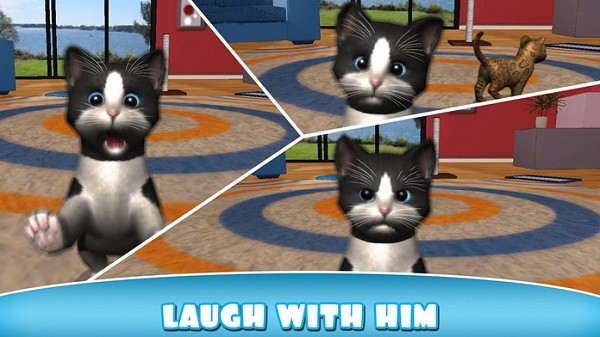 猫咪小家