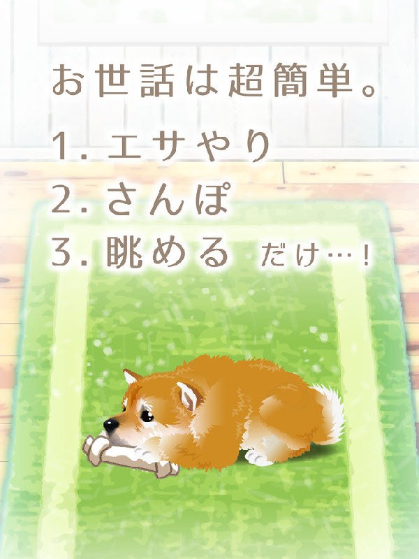 治愈系柴犬育成