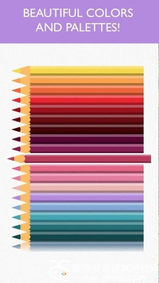 Color Sort Puzzle